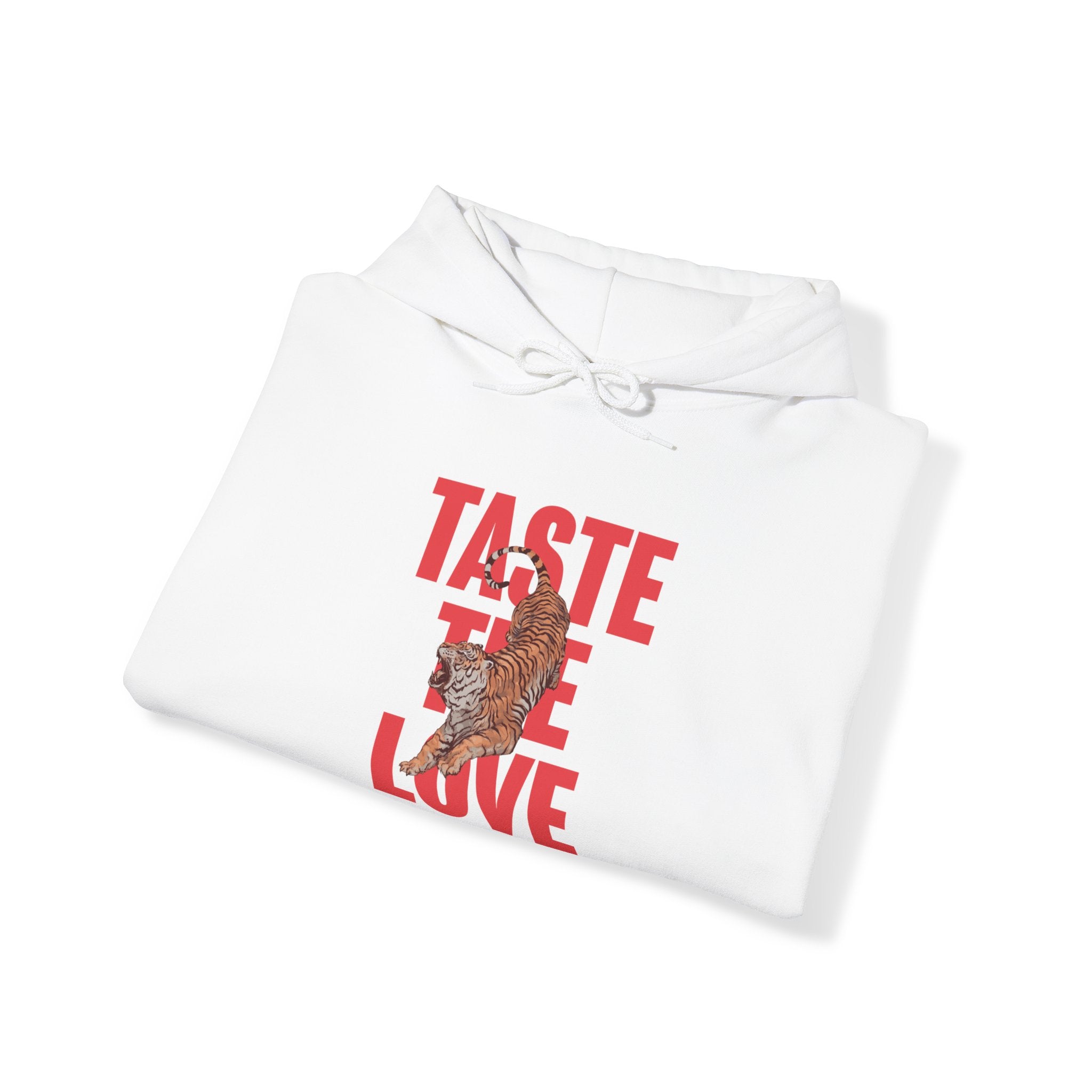 Zayn 'Taste the Love' Hoodie