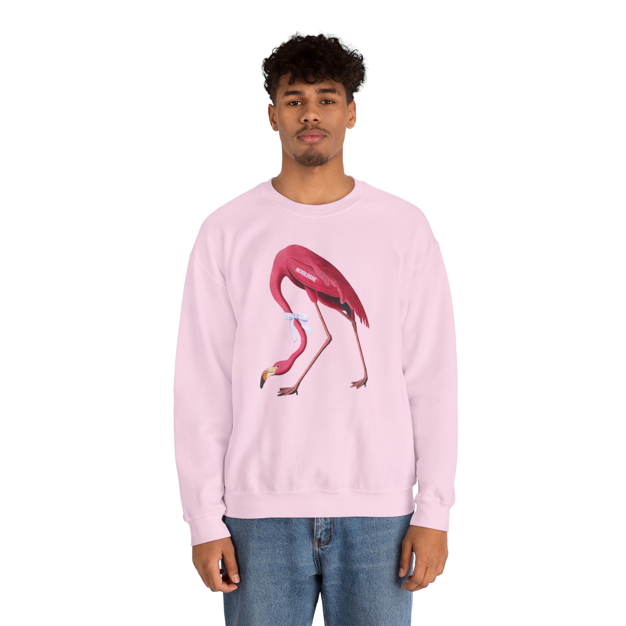 front of the pink mixoloshe hoodie