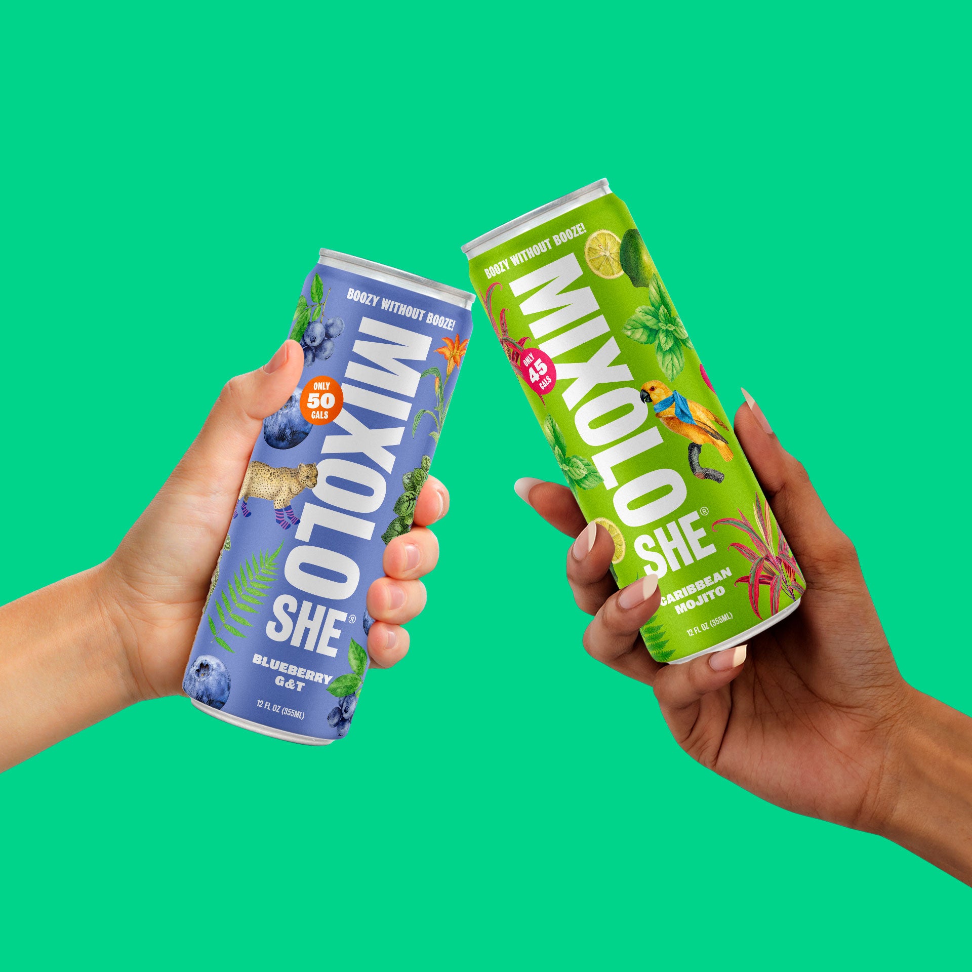 Cheers to the best tasting NA mocktail variety pack by Mixolosh