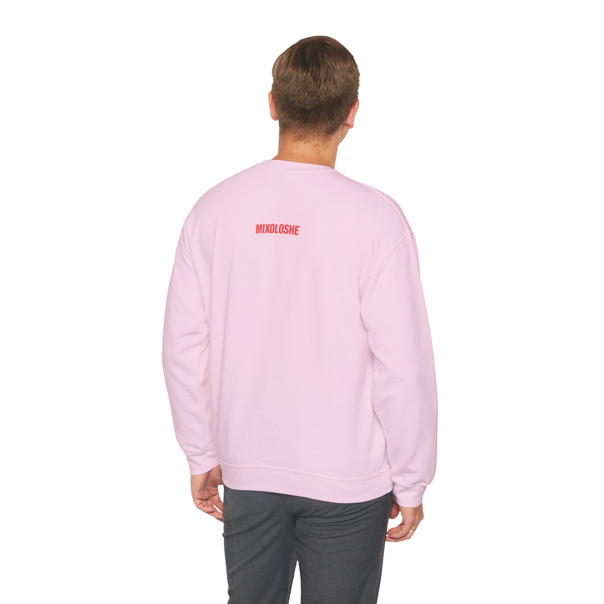 back of the pink mixoloshe hoodie